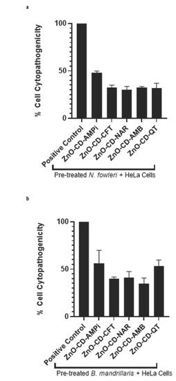 Zinc Oxide Nanoconjugates against Brain-Eating Amoebae