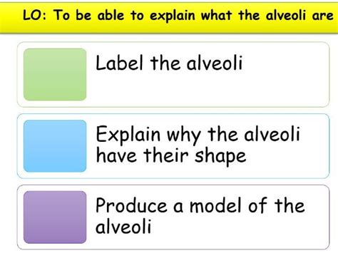 Adaptations KS3 的图像结果