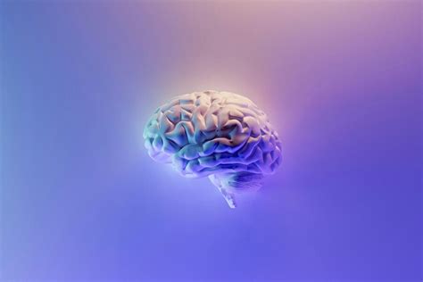 Brain Computer Interface 的图像结果