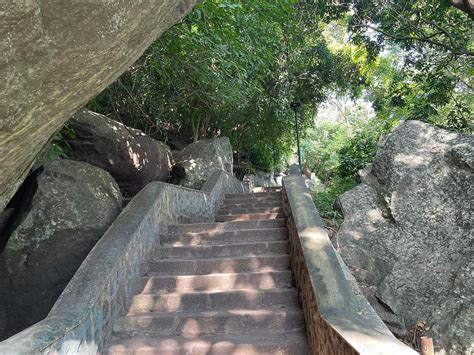 SEVANAGAMA VILLA (Sigiriya) - Specialty Inn Reviews, Photos, Rate ...