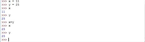 Python Variables | TutorialWithExample