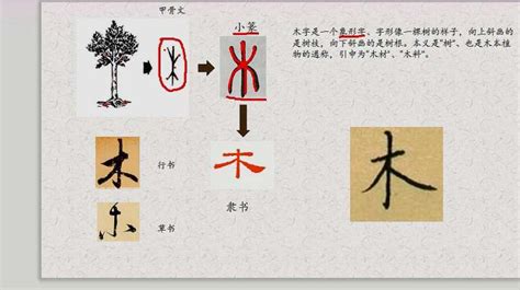 木字的演变，看看古人是怎么造字的,文化历史,文化艺术,好看视频