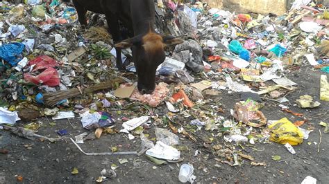 Petition · Ban plastic bags in Pakistan - Pakistan · Change.org