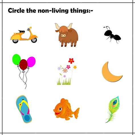 Non Living Things Images