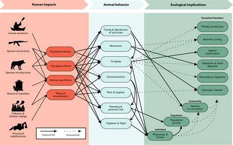 Ecological impacts of human‐induced animal behaviour change - Wilson ...