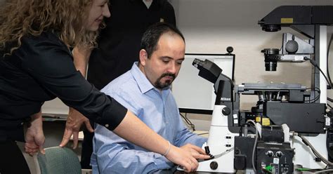 Nikon Microscope 的图像结果