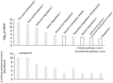 A Proteomic Screen to Unravel the Molecular Pathways Associated with ...