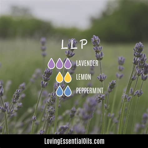 Lavender Lemon Peppermint Oil Blend Recipes - LLP Allergy