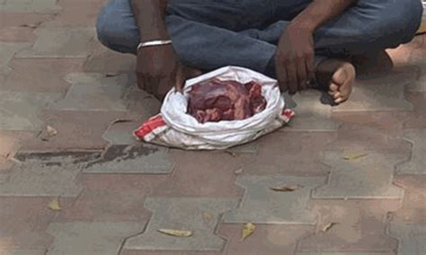 Forest Officials imposed fine for selling deer meat in Tiruvannamalai ...