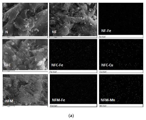 Adsorption of Arsenate by Nano Scaled Activated Carbon Modified by Iron ...