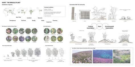 Karvi Forest | CEPT - Portfolio