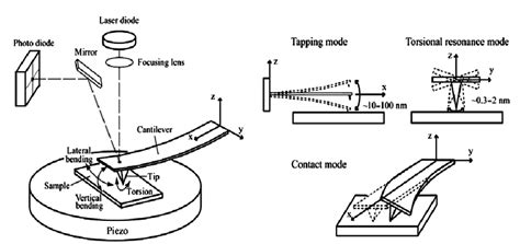 Image result for Atomic force microscopy AFM Principles