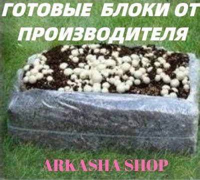 Готовые грибные блоки - купить недорого на Prom.ua: цены, акции и ...