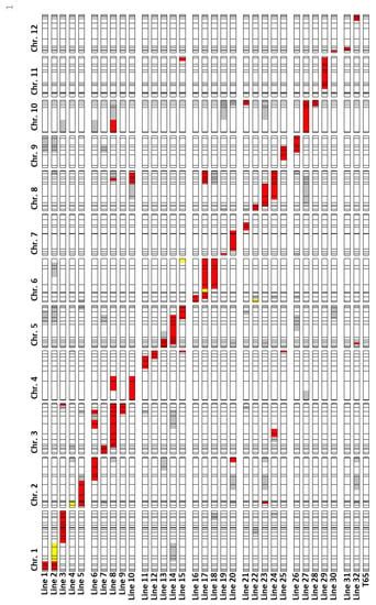 Identification of Anther Length QTL and Construction of Chromosome ...