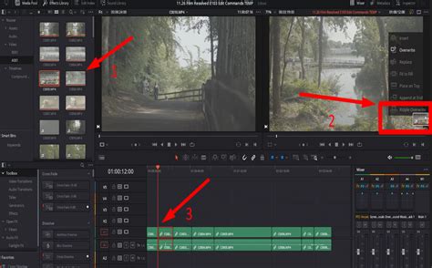 Image result for Chapter 2 Importing Clips into Resolve
