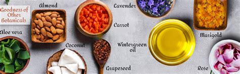 Buy BIOAYURVEDA Pure Butter Body Cream Intense Skin Nourishment ...