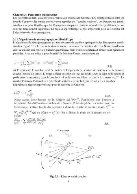 Perceptron Multicouches Example 的图像结果