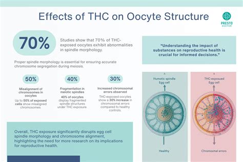 THC-X (THC X / THCx): Effects, Safety & How It Compares - PrestoDoctor