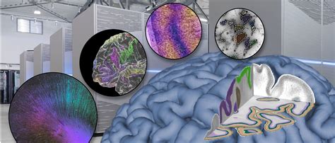 Image result for Brain Mapping Research