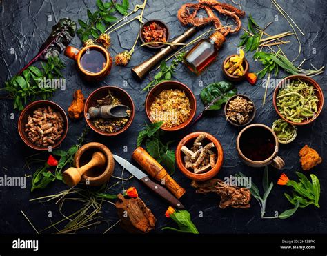 Herb Medicine 的图像结果