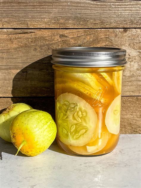 8 Must-Try Lemon Cucumber Recipes | The Addy Bean