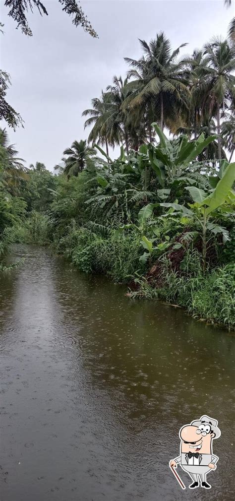 Menu at Tea Shop, Tirupattur, GJCH+8FW vaithiyakara vatam