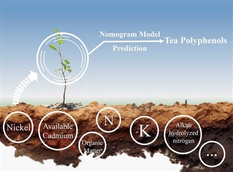 A Nomogram Model for Predicting the Polyphenol Content of Pu-Erh Tea
