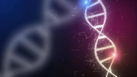 Image result for Reading DNA Animation