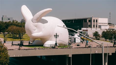 Conejo gigante de Amanda Parer llega a Monterrey