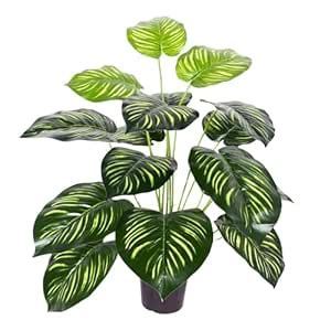 Buy Go Hooked Artificial Plant with complimentary Nursery Pot Dual ...