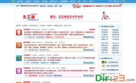 公司起名源码,起名网站源码-宝宝起名网站源码-公司起名网 - 送码网