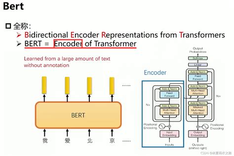 Image result for Bert Encoder Pytorch