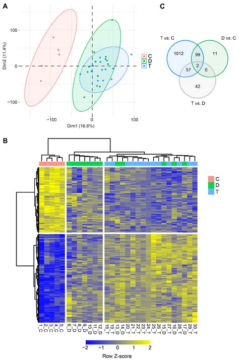 Whole Genome Expression Profiling of Semitendinosus Tendons from ...