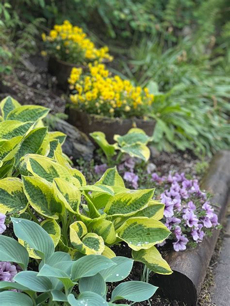 Hagedagen 2025 ?, Osterøyvegen 1822, Lonevåg, Bergen, 31 May 2025 ...