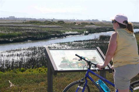 Hayward Regional Shoreline