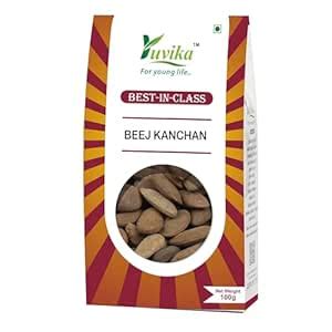 Buy Yuvika Beej Kanchan - Kanchan Seeds - Michelia Champaca 100 Grams ...