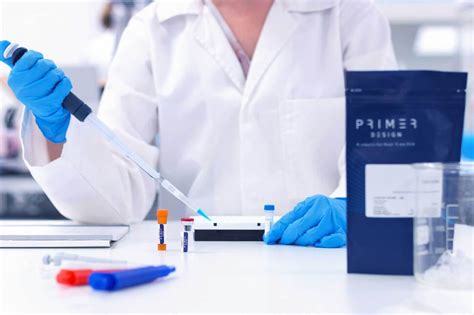 Primer Design Step by Step 的图像结果