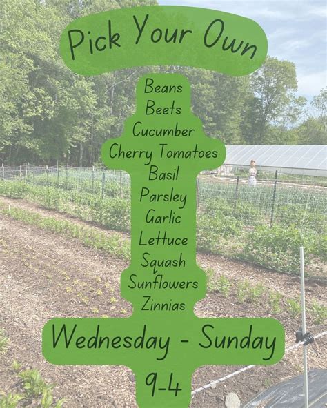 Pick Your Own - Natick Community Organic Farm