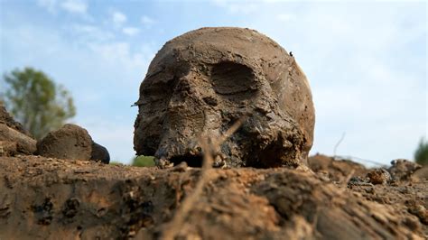 Image result for DNA Solves