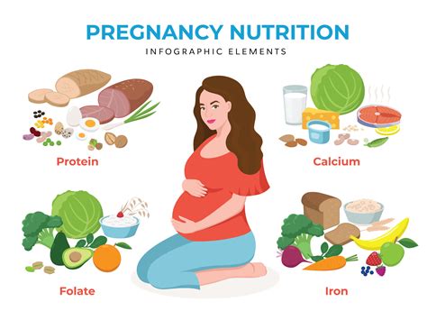 Pregnancy Nutrition - importance of nutrition in pregnant women