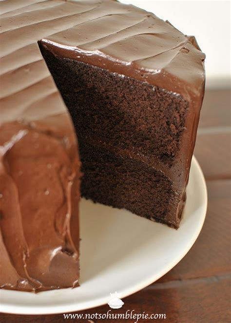 cocoa chocolate cake