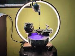 Buy Air Plants Online in India | MyBageecha