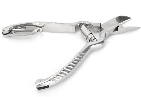 01 Piglet Teeth Cutter, Pig Teeth Cutter Stainless India | Ubuy