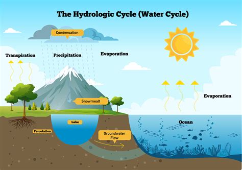 Hydrologic cycle — lesson. Social Science, Class 8.