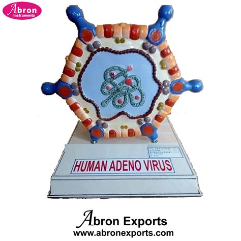 Medical College Community Human Adeno Virus labelled on Base Big Size ...