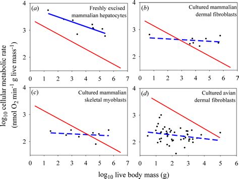 Body-Mass Scaling of Metabolic Rate: What are the Relative Roles of ...