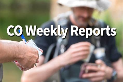 CO Reports: Got your 2024 Minnesota angling license yet? - Brainerd ...