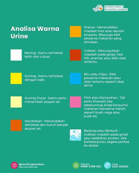 kesehatan berdasarkan warna feses