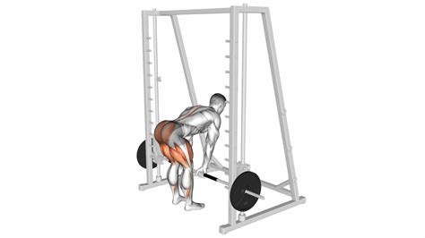 Smith Machine Exercises 的图像结果