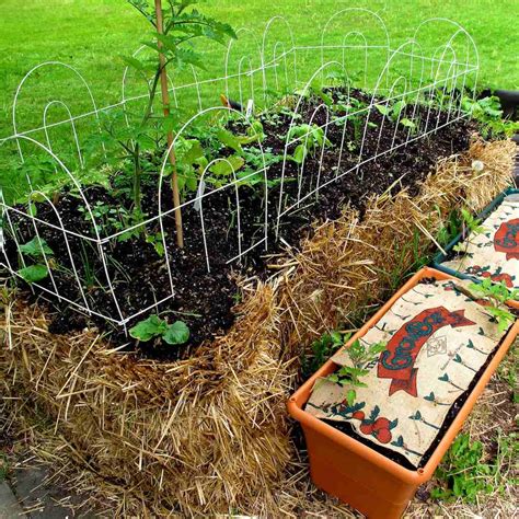 How to Start a Straw Bale Garden